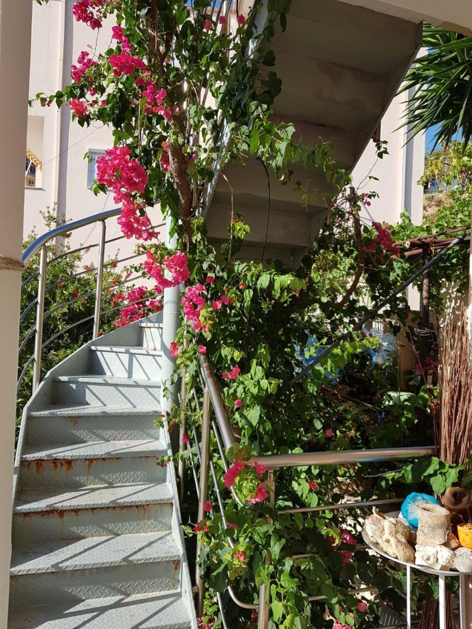 ★ Meniko'S House ★ Cozy Nest Appartement Himare Buitenkant foto